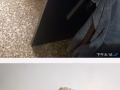 處理單人床架