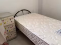 淡濱尼女搭房和男搭房出租