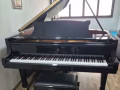 三角钢琴 Steinway & Sons - Model B-211