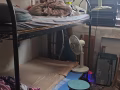 男床位 中塔魯