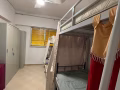 淡滨尼3房室床位出租，4人一房＄450