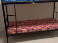 Serangoon/Sengkang/Hougang/Punggol东北普通房/床位出租