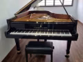 三角钢琴 Steinway Grand Piano B-211