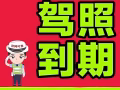 代辦 中國駕照到期 更新所有業務