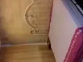 无中介费，实龙岗北复式组屋,主人房出租
