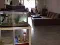 主人房出租