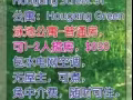 Hougang green公寓普通房出租，人少安靜，可日租。