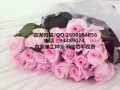 常年辦理新加坡勞務工種齊全辦理快QQ微信：2608694056