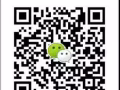 ~~~秀儿~~~排卵试纸 & 早早孕试纸 （HP: 845859）