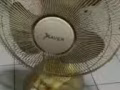 現有2個電吹風，電鑽，牆壁扇，拖線插座，菜刀廚具等，電子稱。各類扳手等