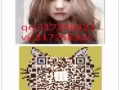 本公司工種齊全，收費低，辦理快，找工作換工作詳詢QQ微信：317258321
