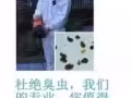 全島專業殺蟲服務
