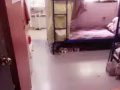 紅茂橋十道449女搭房四人間，單獨衛生間，有下床，水電網全包靠近地鐵站和工業區