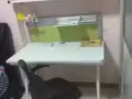 马上入住 可报地址