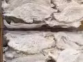 印尼燕窩加工廠直銷