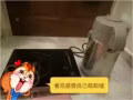 电磁炉和水壶