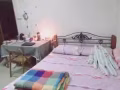 dover 高层干净普通房出租