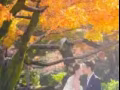 Wedding Forestry