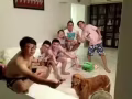 兀蘭821高素質居住環境自由- 招愛狗男生搭房。非中介 $350