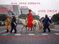 海运空运到新加坡，无论小件大件都可以