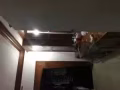 湖畔地鐵站附近 大牌471   有夫妻房一間，隔間，和女塔房可報地址，可大煮