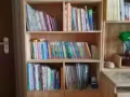 松木實木雙層床帶拖床；書櫃書桌全套