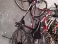 自行车
