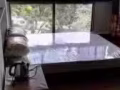 卡迪MRT orchid park condo 主人房，，主人房，普通房出租