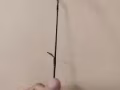回国 处理鱼竿