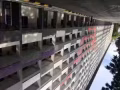 近牛車水地鐵站五分鐘，男搭房出租，女搭房出租，夫妻房隔間