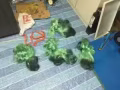 搬家處理