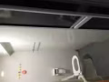 紅山靚房出租
