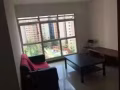 榜鹅新房现招女房客