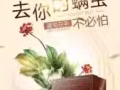 藏皂 純中草藥 超強殺菌消炎 祛痘、淡斑、控油、去濕疹。