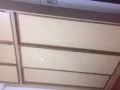 靠近楊厝港地鐵站漂亮公寓2間普通房出租，有冷氣可煮，立即入住！