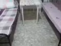 卡迪地鐵站 雙人間女搭房 $300 可煮 乾淨整潔