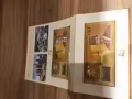 新加坡和汶萊50周年紀念幣 ¥600