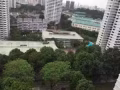 布莱德景公寓超大普通房,主人房出租
