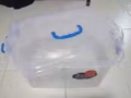 处理日用品