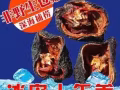 原生态纯野生地中海深海海参