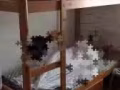兀蘭有上下鋪，木床，9成新，120，非誠勿擾，全新自己用的木床！