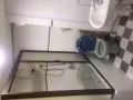 招夫妻间