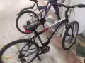 自行车
