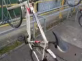 便宜出售公路賽自行車，女式自行車各一輛
