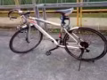 便宜轉讓公路賽自行車一輛