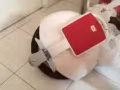 出售电动独轮车