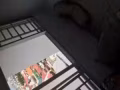巴耶莉峇8分鐘 小房$400