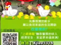 是否有想過用無聊空閒的時間在家上網兼職賺外快嗎？歡迎免費詢問