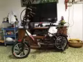 有排电动自行车