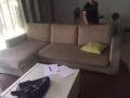 近先驱地铁站有男女搭房出租